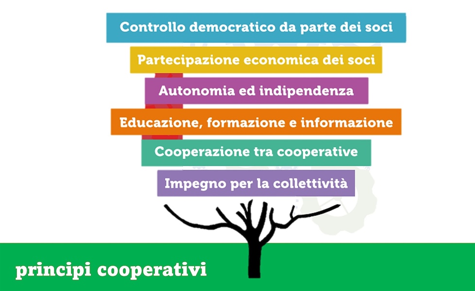 L'immagine elenca i principi fondamentali delle cooperative. Questi sono: controllo democratico da parte dei soci, partecipazione economica dei soci, autonomia ed indipendenza, educazione formazione e informazione, cooperazione tra cooperative, impegno per la collettività. In fondo è presente la scritta “principi cooperativi” su sfondo verde.